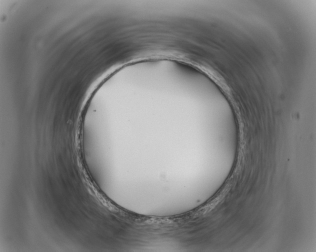 X0000086300912200704271824