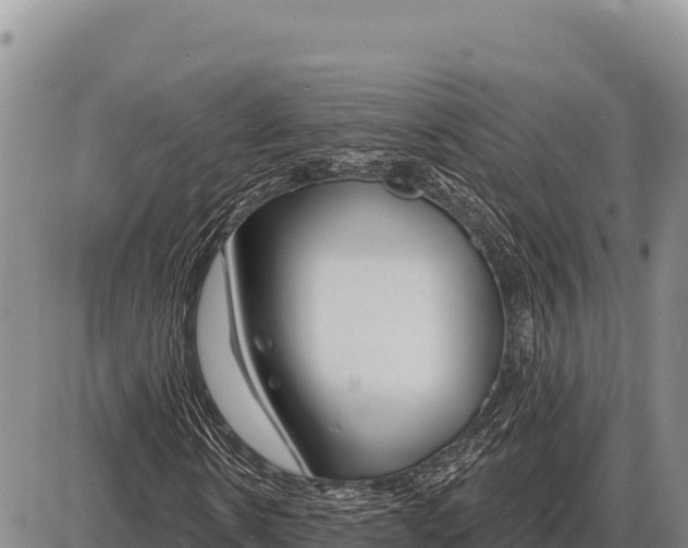 X0000086300914200704271823