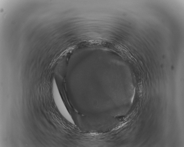 X0000086300916200704271823