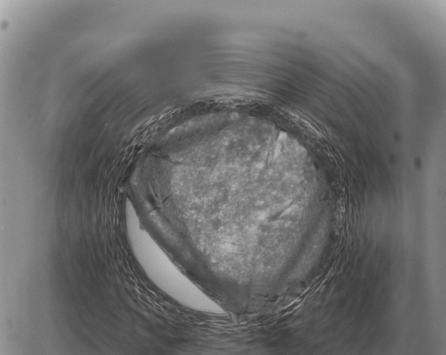 X0000086300917200704271823