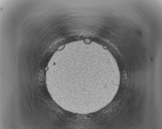 X0000086300918200704271823