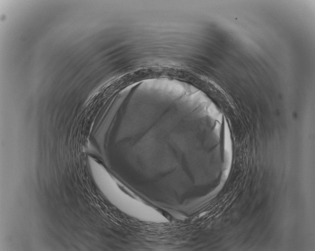 X0000086300919200704271823