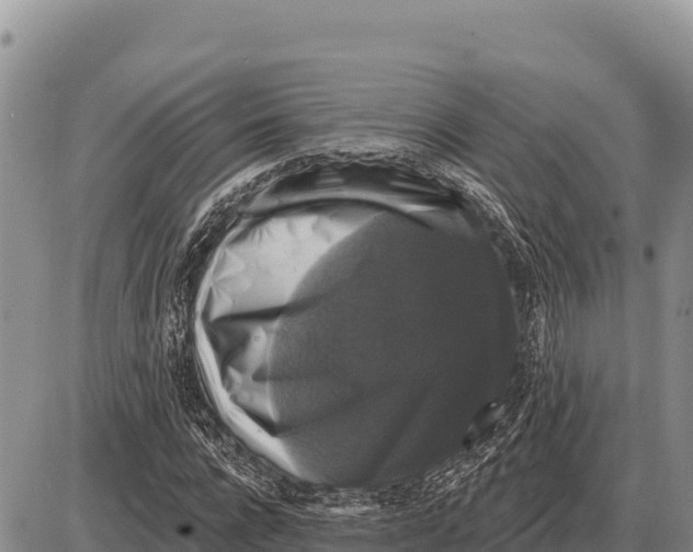 X0000086300920200704271823