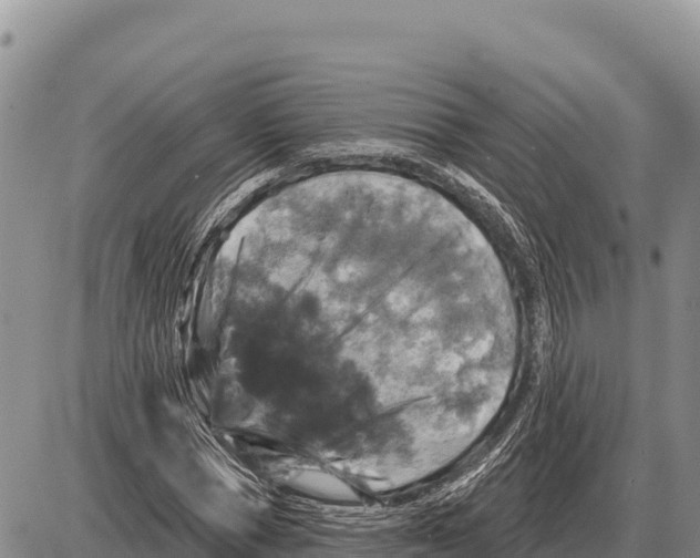 X0000086300921200704271823