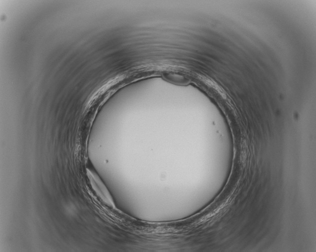 X0000086300922200704271823