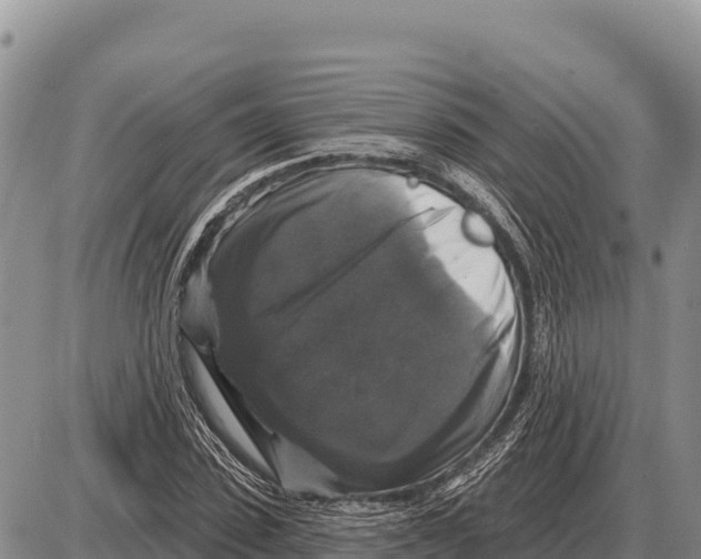 X0000086300923200704271823