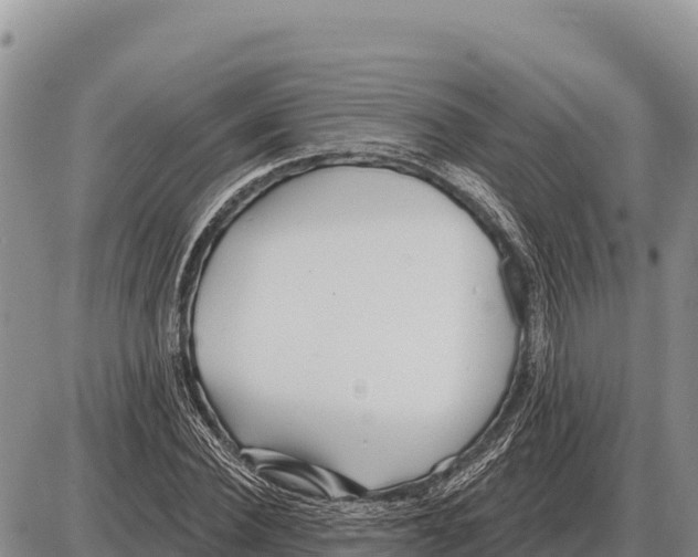 X0000086300924200704271823