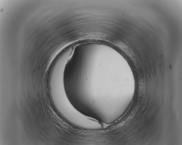 X0000086300926200704271823