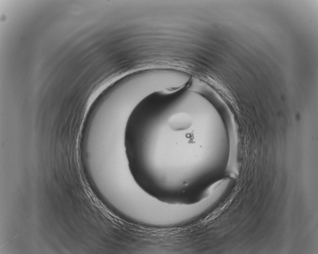 X0000086300928200704271823