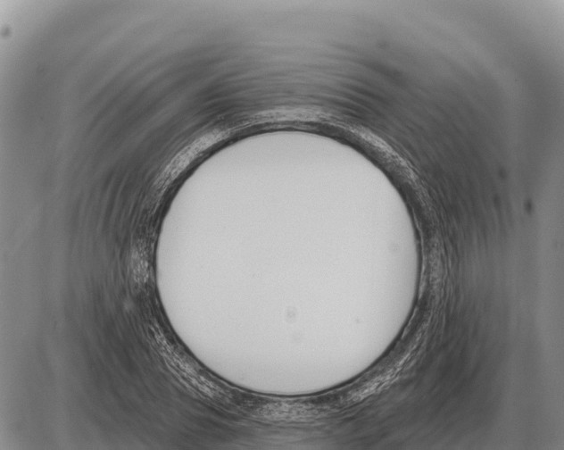 X0000086300929200704271823