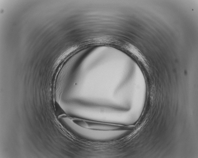 X0000086300930200704271823