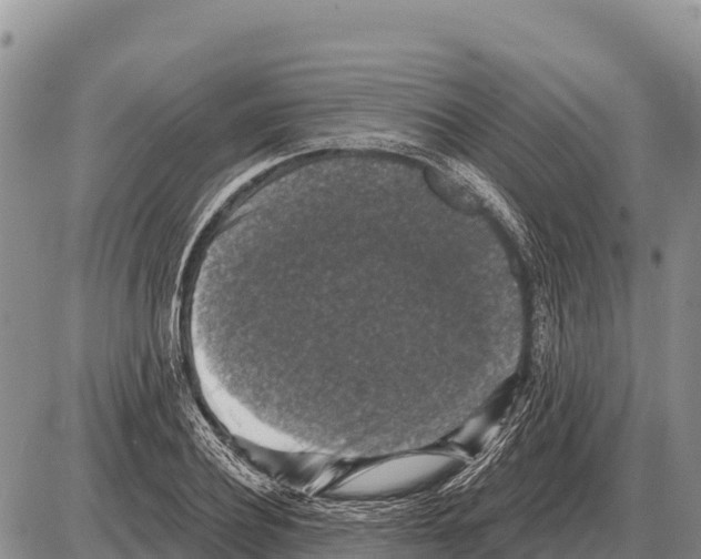 X0000086300932200704271823