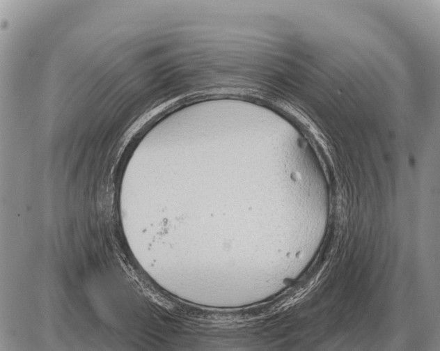 X0000086300933200704271823