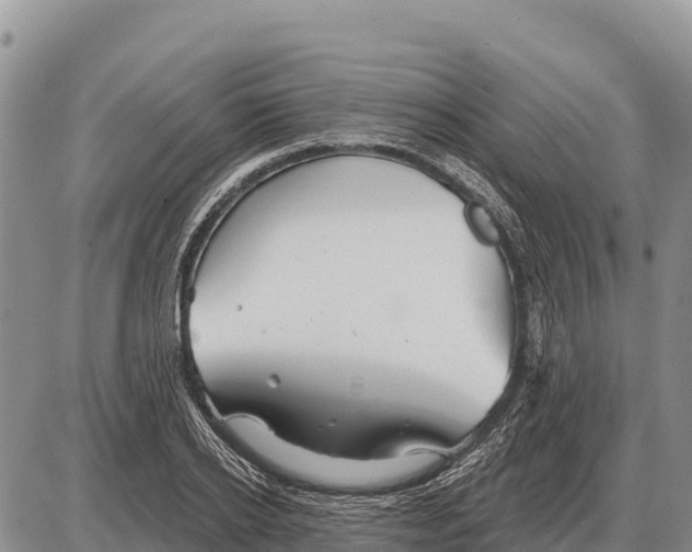 X0000086300934200704271823