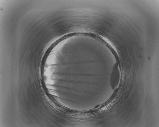 X0000086300935200704271823