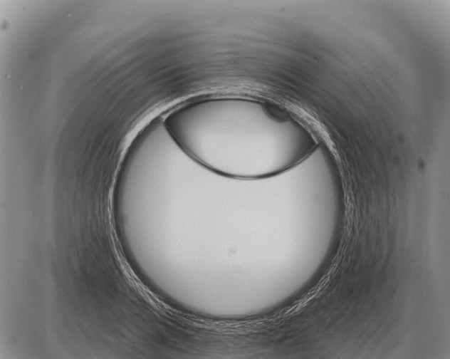 X0000086300936200704271823