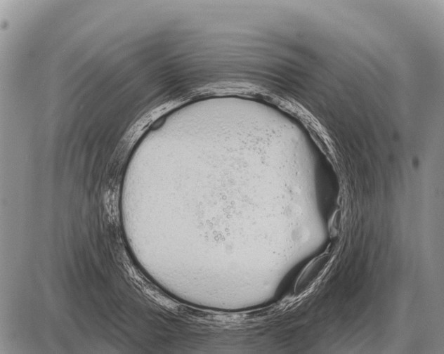 X0000086300937200704271823