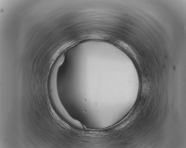 X0000086300938200704271823