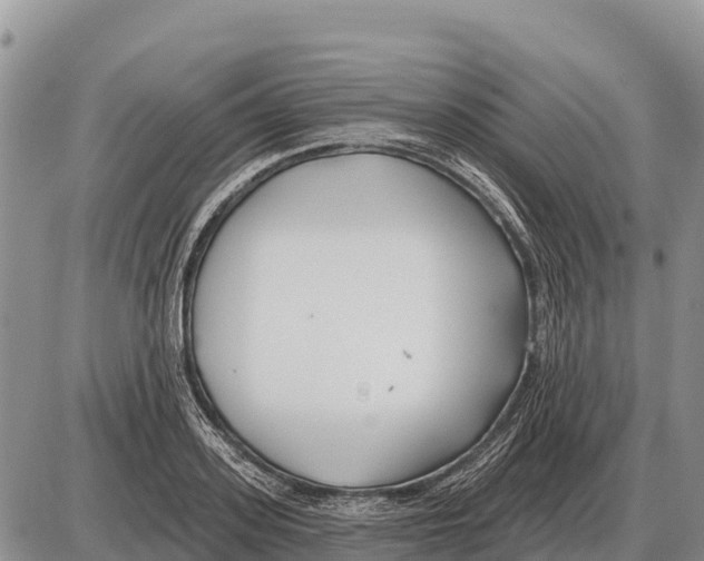 X0000086300939200704271823