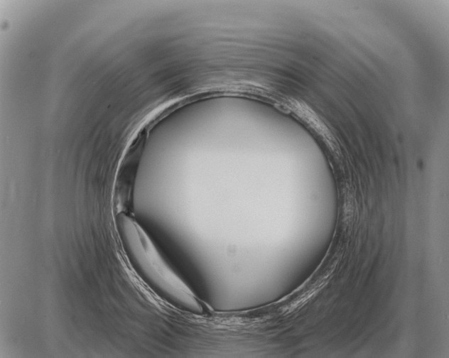 X0000086300940200704271823