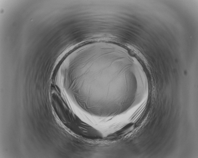 X0000086300941200704271823