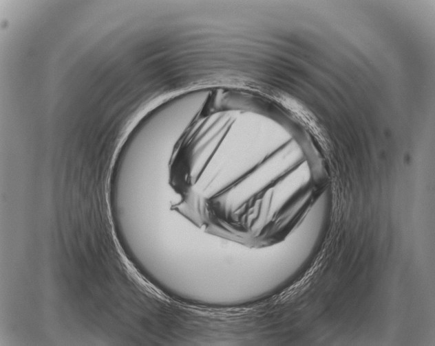 X0000086300942200704271823