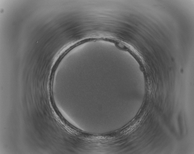 X0000086300943200704271823