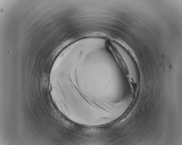 X0000086300945200704271823