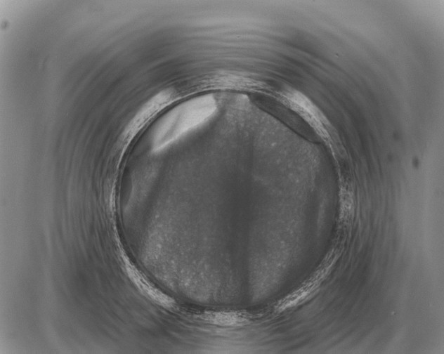 X0000086300946200704271823