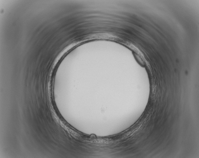 X0000086300947200704271823