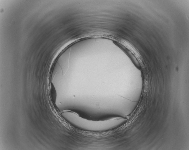 X0000086300948200704271823