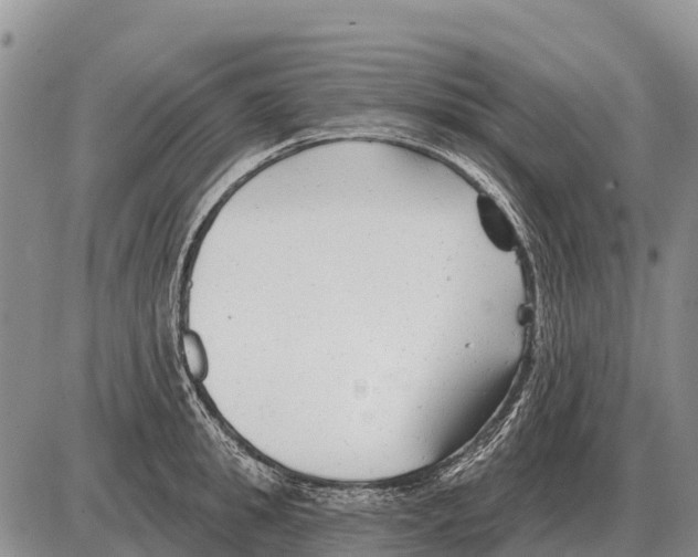 X0000086300949200704271823