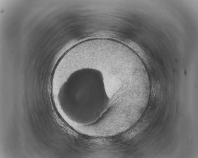 X0000086300950200704271823