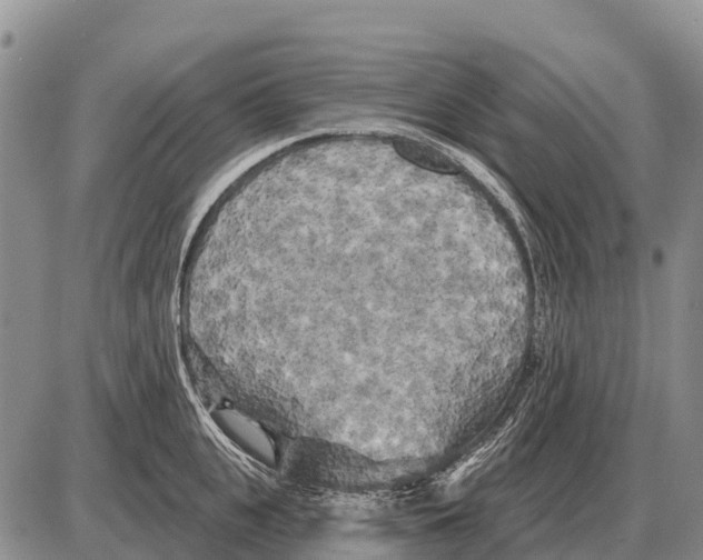 X0000086300951200704271824