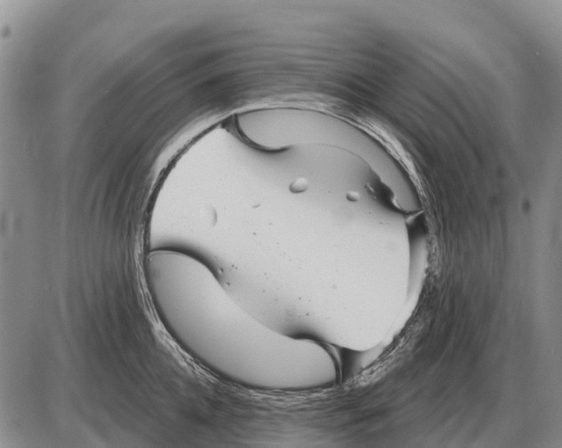 X0000086300952200704271824