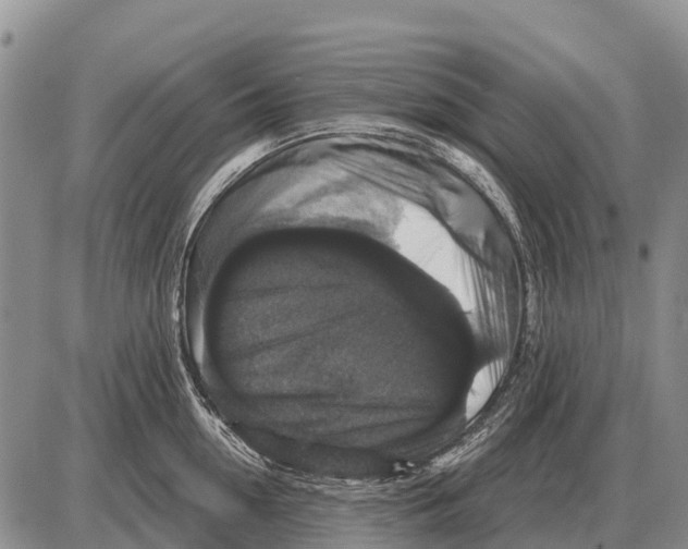 X0000086300954200704271824