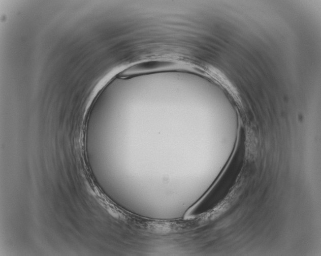 X0000086300956200704271824