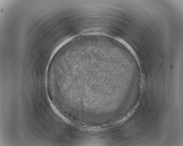 X0000086300957200704271824