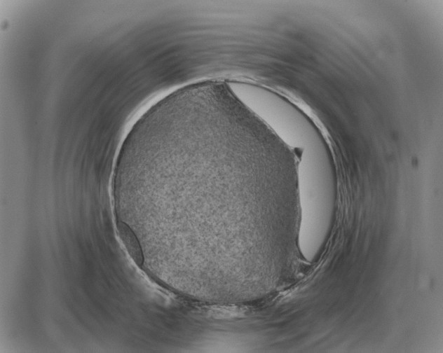 X0000086300959200704271824