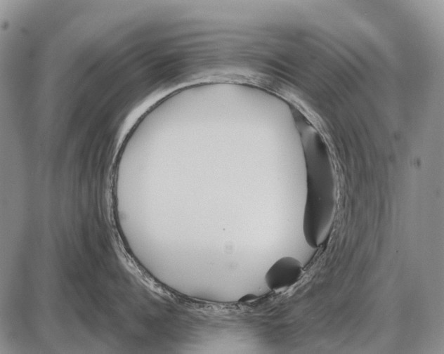 X0000086300960200704271824