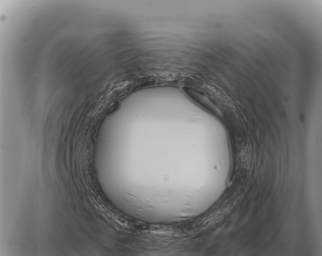 X0000086300961200704271823