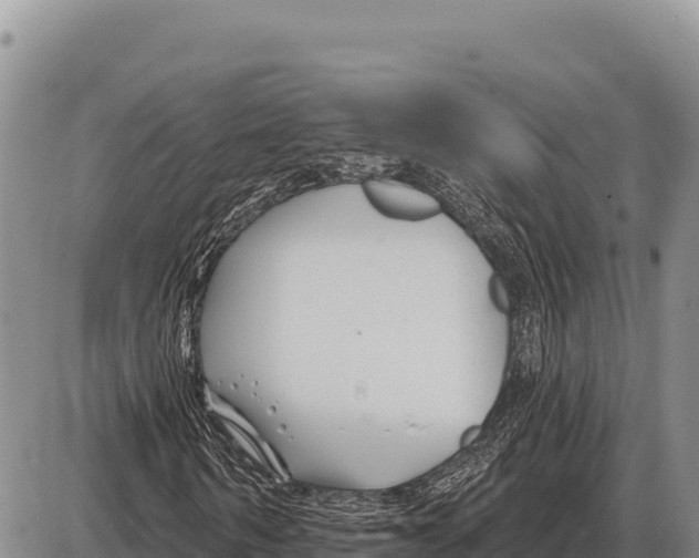 X0000086300962200704271823