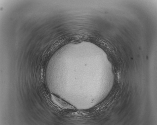 X0000086300963200704271823