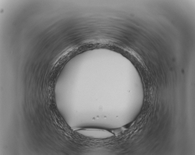 X0000086300967200704271823