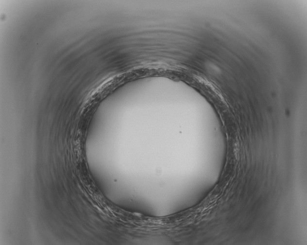 X0000086300968200704271823