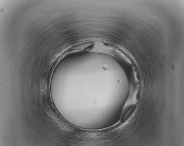 X0000086300969200704271823