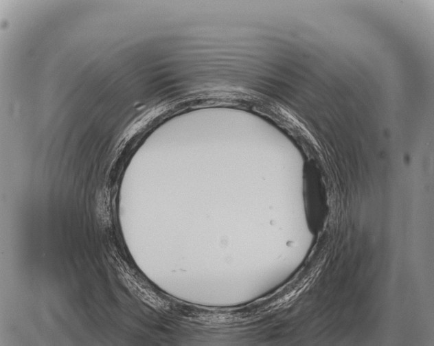 X0000086300970200704271823