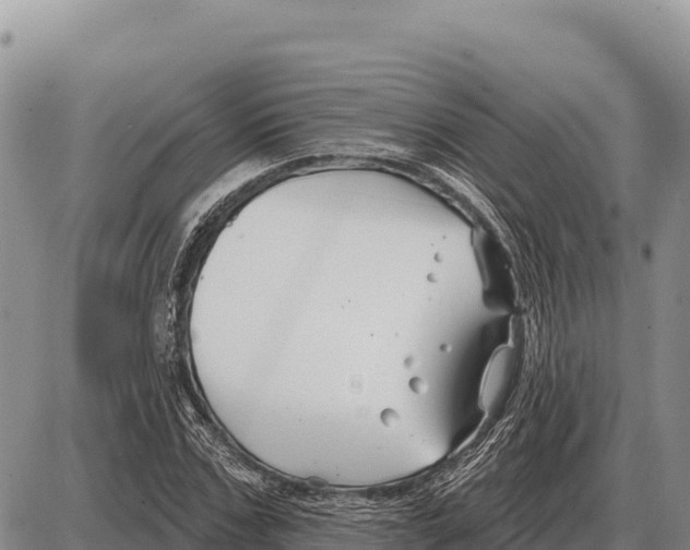 X0000086300971200704271823