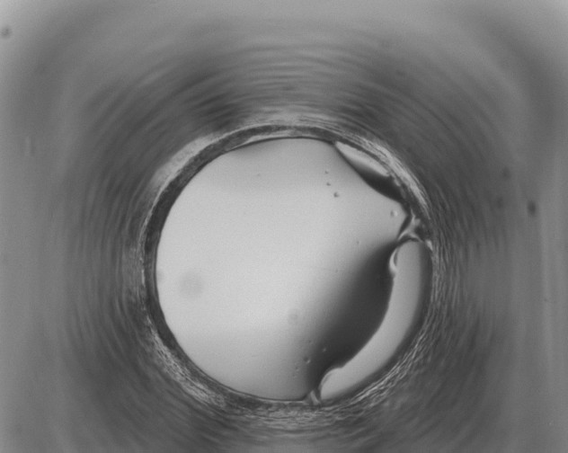 X0000086300972200704271823