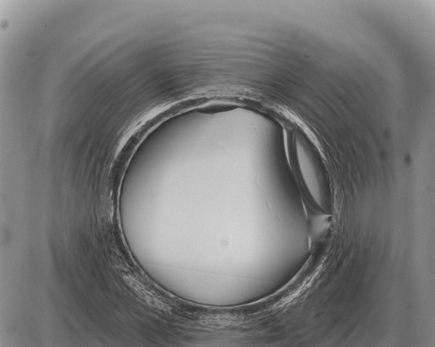 X0000086300973200704271823